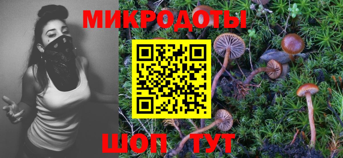 Псилоцибиновые грибы GOLDEN TEACHER Гудермес