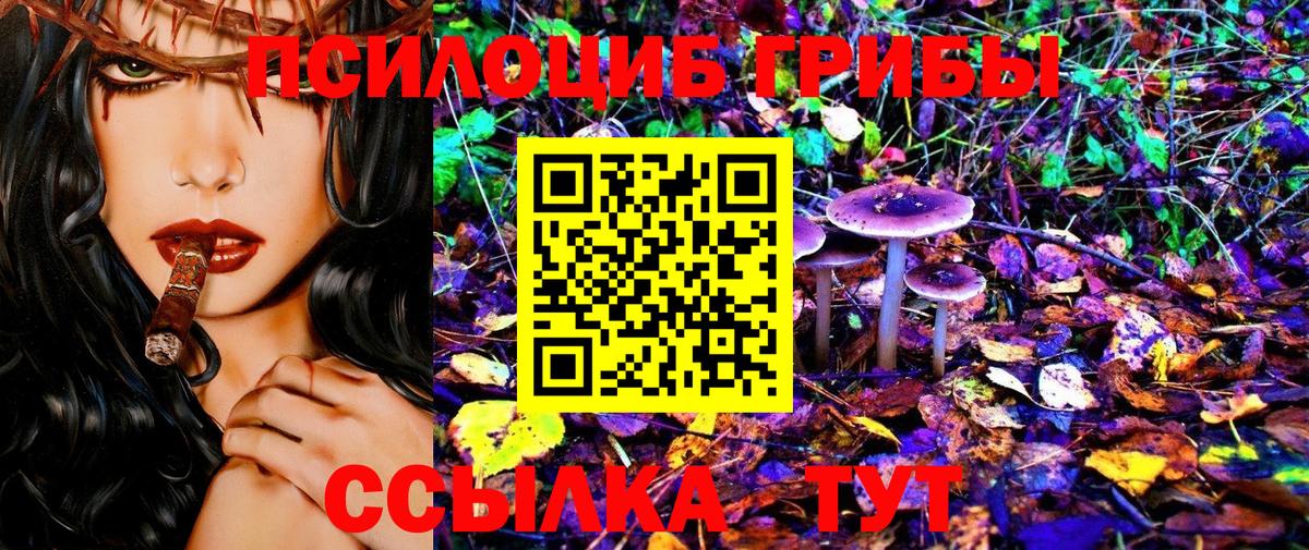 Гудермес  Псилоцибиновые грибы Cubensis  Вход с VPN 